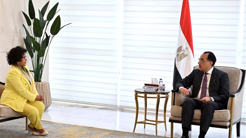 رئيس الوزراء يستقبل
