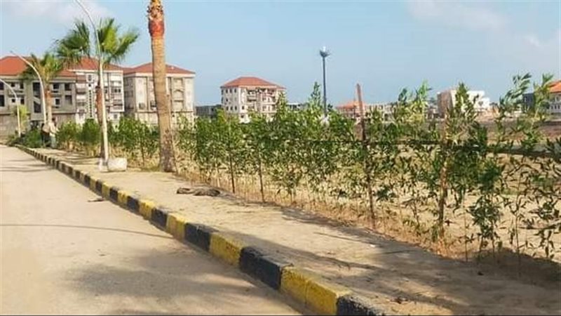 اعمال التشجير 
