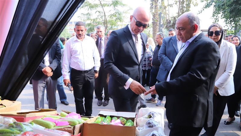 جامعة عين شمس، فيتو
