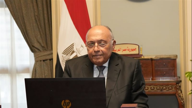 سامح شكرى وزير الخارجية،