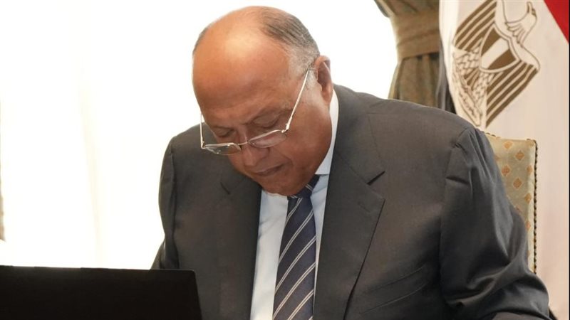 سامح شكرى وزير الخارجية،