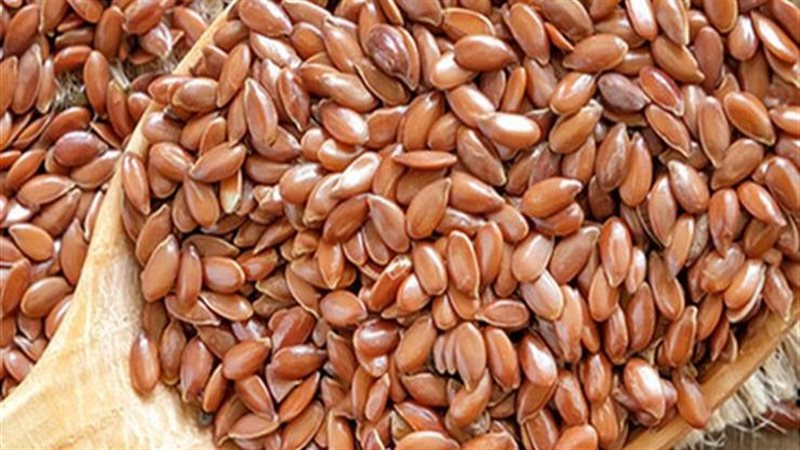 فوائد حب الرشاد،