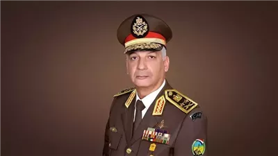 أهم القرارات الحكومية اليوم في العدد 255 بجريدة الوقائع المصرية