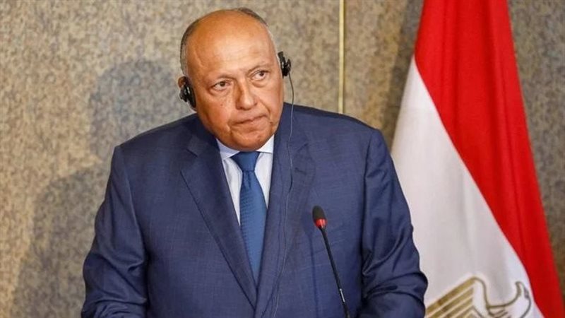 سامح شكري، وزير الخارجية،