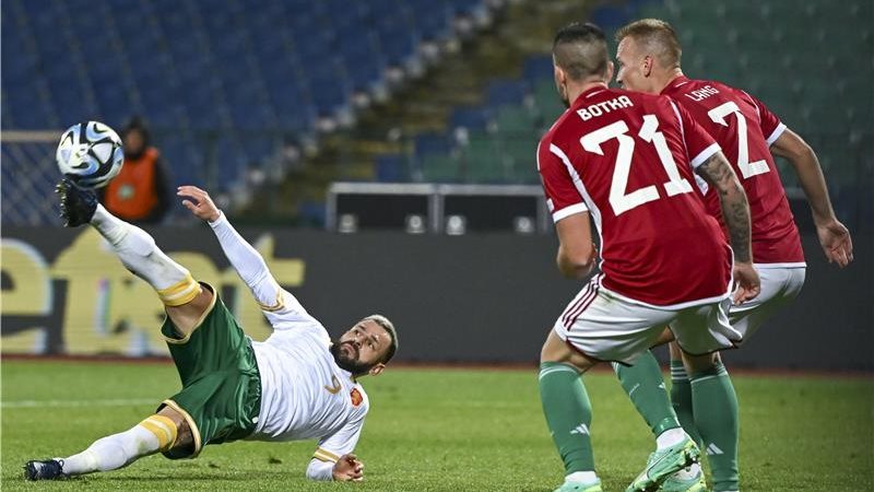بلغاريا والمجر، فيتو