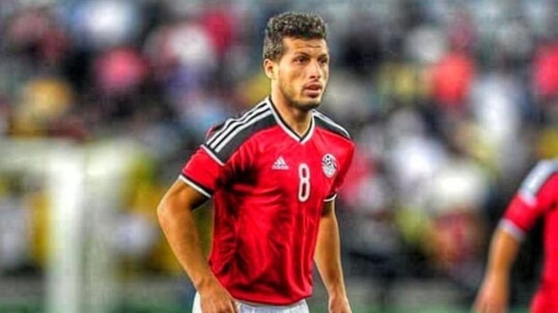 طارق حامد، فيتو
