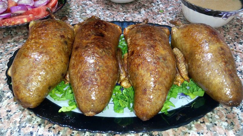 الحمام المحشي، فيتو