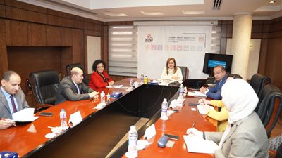وزيرة التخطيط تبحث التعاون مع المدير التنفيذي لوكالة الاتحاد الأفريقي للتنمية 