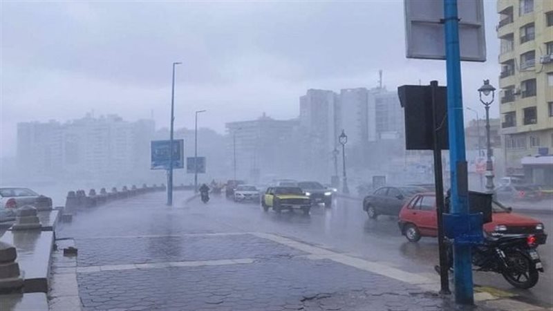 تعطيل الدراسة بالإسكندرية