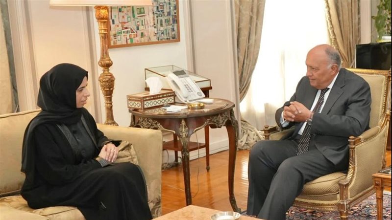 سامح شكري وزير الخارجية،