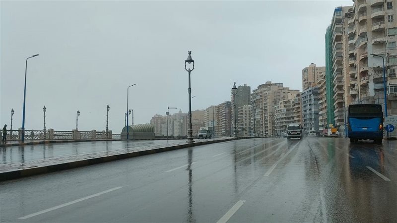 الإسكندرية، فيتو