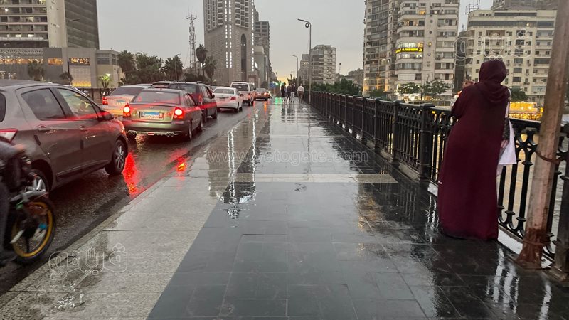 حالة الطقس غدا، فيتو