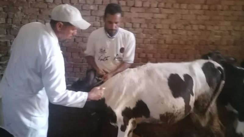 بيطرية البحيرة،فيتو