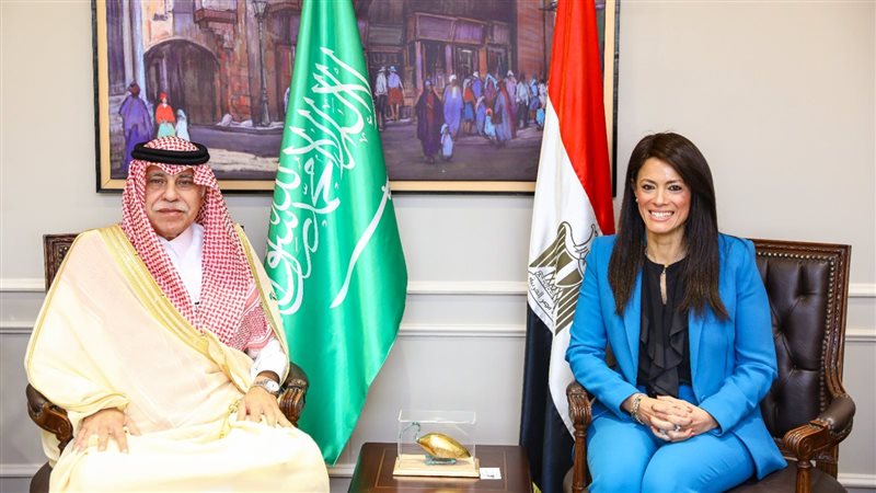 الدكتورة رانيا المشاط