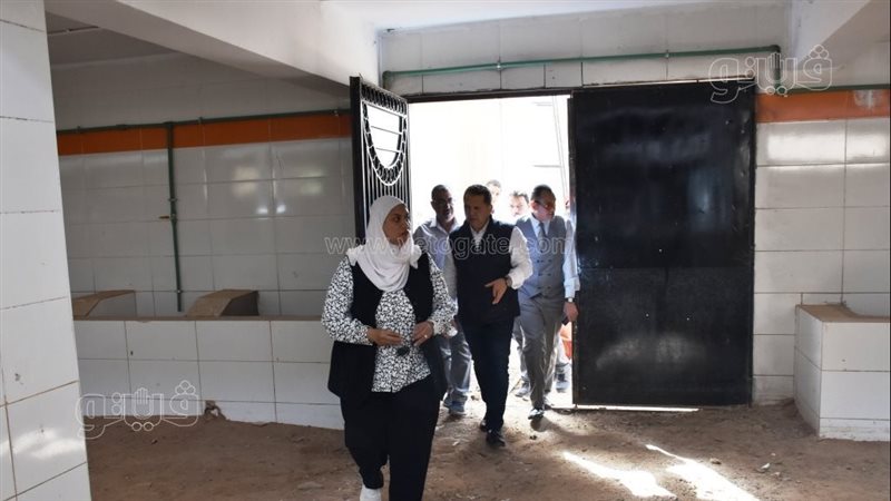 نائبة محافظ اسوان