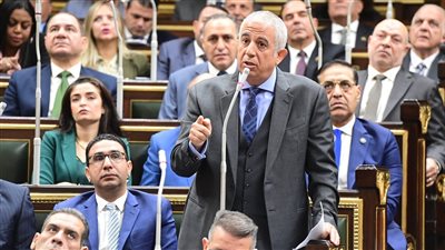  رئيس خارجية النواب: كل من سكت عن جريمة الاحتلال الإسرائيلي شريك فيها