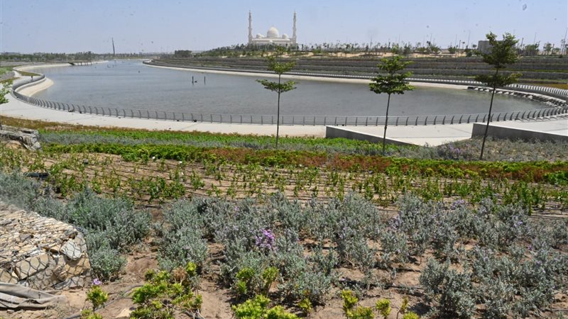 الحدائق العاصمة