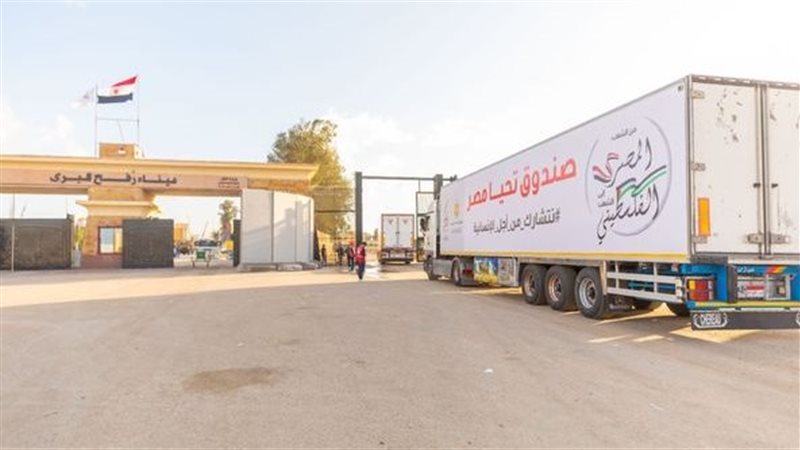 صندوق تحيا مصر،فيتو
