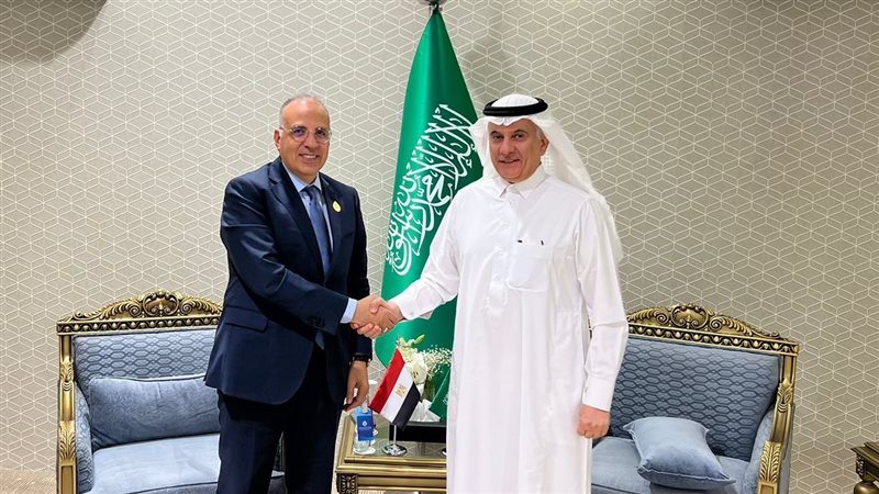 وزير الري المصري