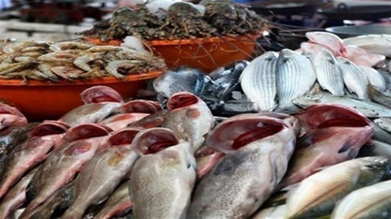 أسعار الأسماك اليوم،