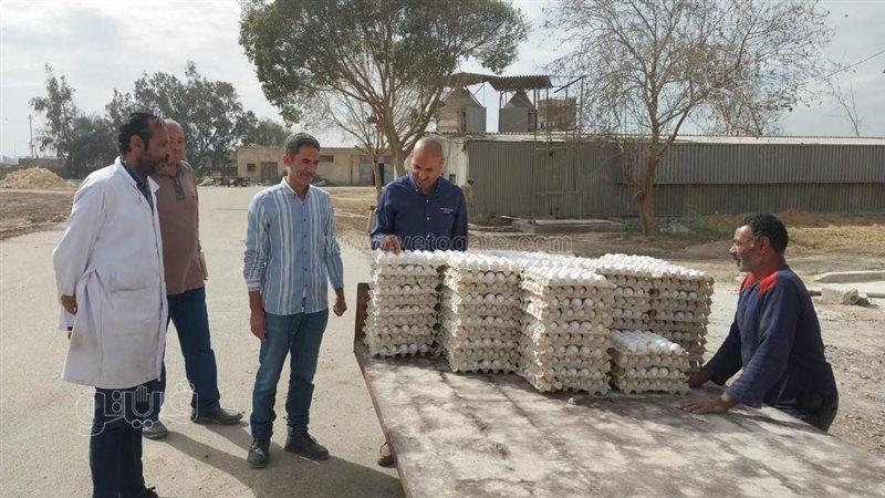 سكرتير بني سويف يتفقد