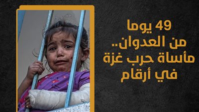 49 يوما من العدوان.. مأساة حرب غزة في أرقام (إنفوجراف)