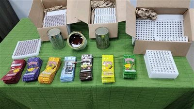 جمارك الطرود البريدية بقرية البضائع بمطار القاهرة تحبط محاولة تهريب مخدر شمع الحشيش