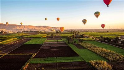 45 رحلة بالون طائر تزين سماء الأقصر