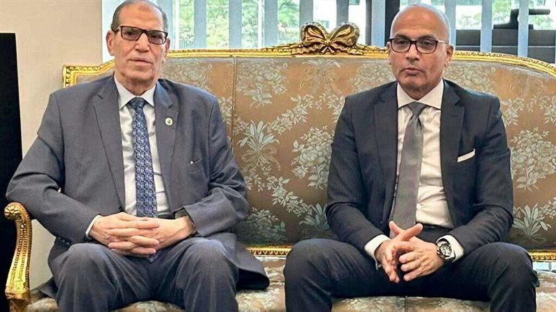 النيابة الإدارية،