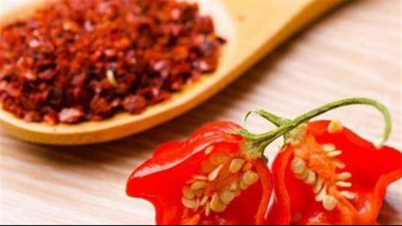 فوائد الشطة، فيتو