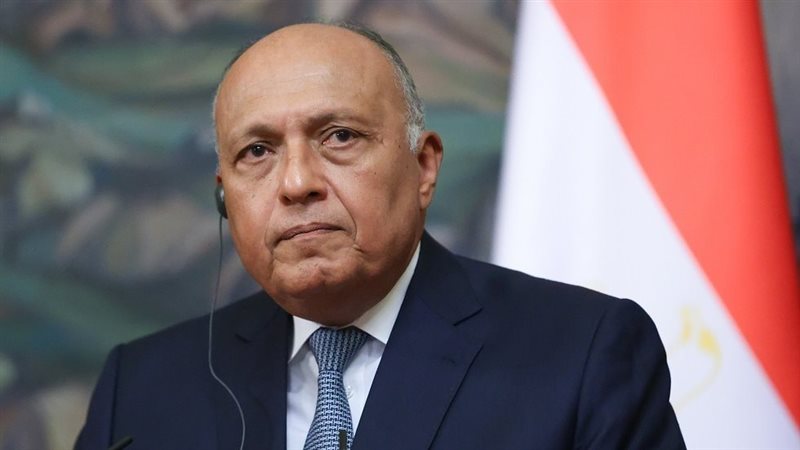 سامح شكري، فيتو