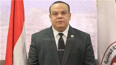 تشكيل اللجان الرئيسية والفرعية لانتخابات الرئاسية للمصريين بالخارج