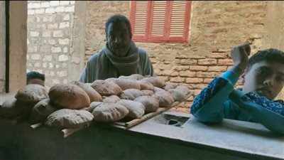 تحرير 35 محضر ومخالفة تموينية بالأقصر