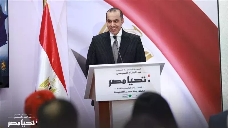 المستشار محمود فوزي،