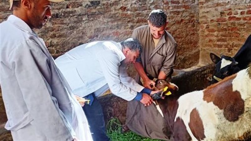 تحصن وترقيم 107 الف