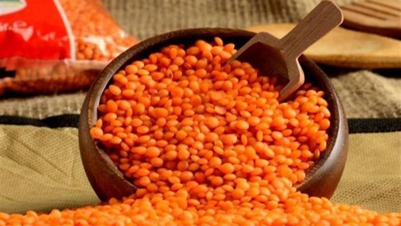 أسعار العدس اليوم،