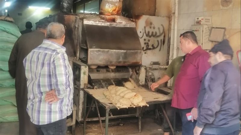 ضبط وتحرير 79 محضرًا