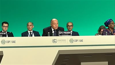 مؤتمر المناخ COP28، وزير الخارجية يدعو إلى إصلاح المؤسسات المالية الدولية (صور)