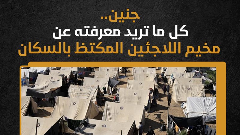 مخيم جنين، فيتو