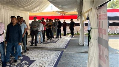 بعد بدء التصويت، تعرف على عقوبة التخلف عن المشاركة في الانتخابات الرئاسية