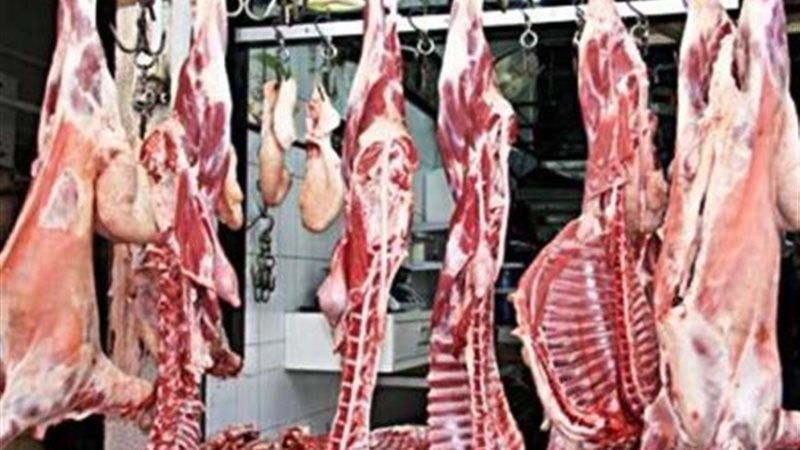 اسعار اللحوم اليوم،