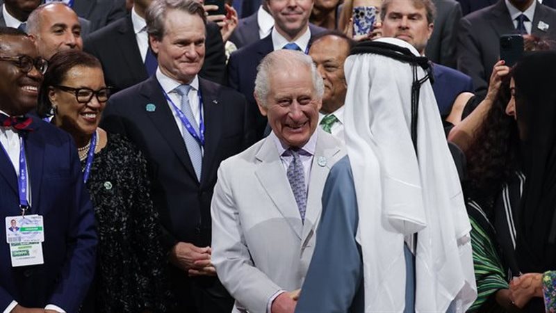 الملك تشارلز، فيتو