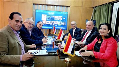 اتحاد المصريين بالخارج: إقبال الناخبين من أبناء الجاليات المصرية بالخارج فاق توقعاتنا بكثير