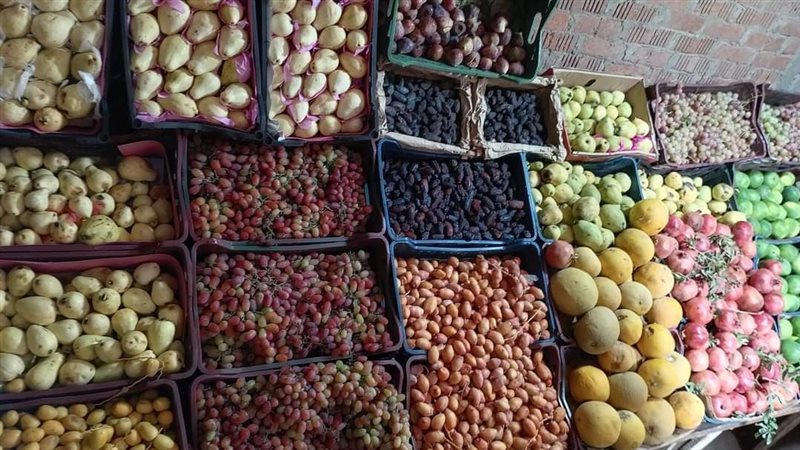 الفاكهة اليوم في