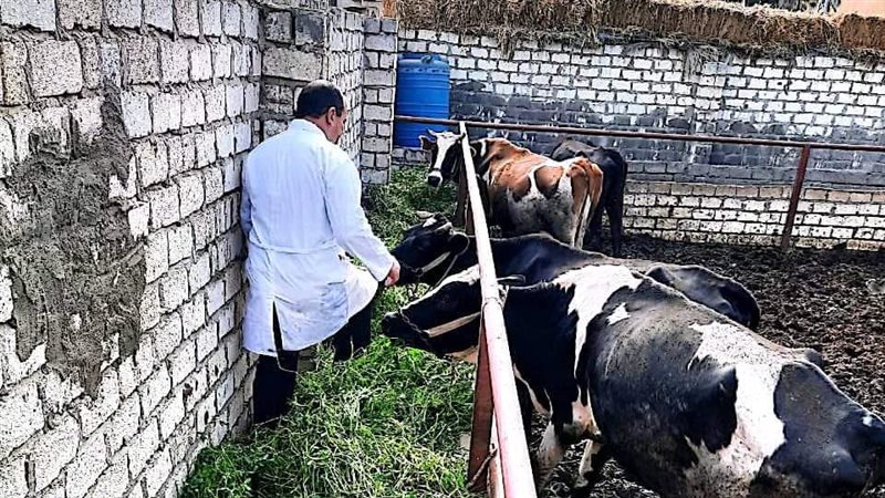 جانب من القافلة بالبحيرة،فيتو