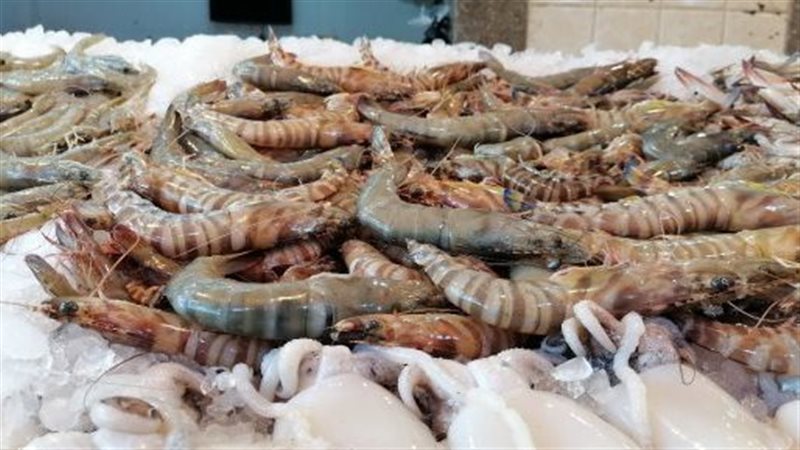 أسعار الجمبري في