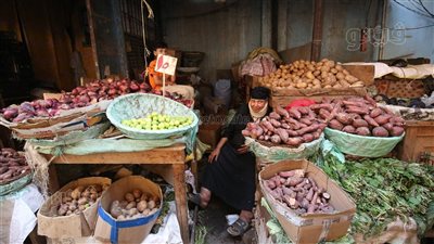 أسعار الخضراوات اليوم السبت 16-12-2023 في الدقهلية