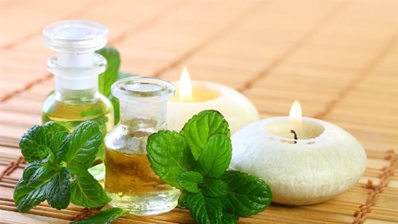 زيت النعناع وفوائده،