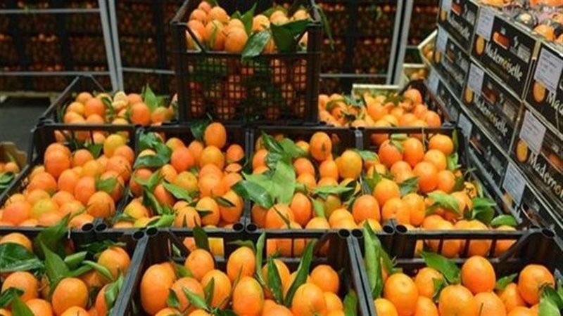 أسعار الفاكهة اليوم