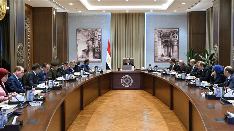 مجلس الوزراء، فيتو